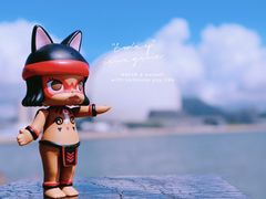 -野狸岛