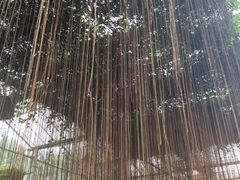 -上海多利农业发展有限公司