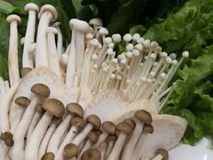 -九府羊鲜羊火锅·烧烤·小海鲜(华汇大厦店)