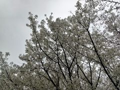 -白塘生态植物园
