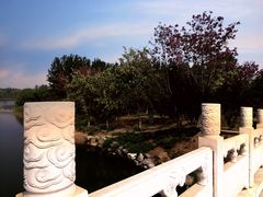 -大兴滨河森林公园