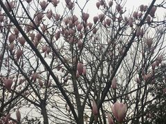 -艾溪湖湿地公园