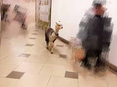 -纯K(打浦桥店)