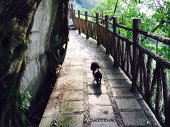 iphone_upload_pic-佛图关公园