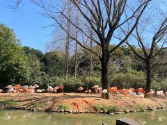 -上海野生动物园