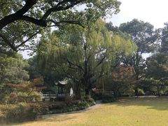-申粤轩酒楼·三十年粤菜经典(丁香花园店)