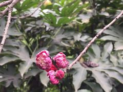 -重庆彩云湖湿地公园