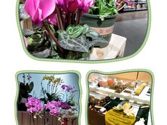 -七鲜超市(通州ONE店)
