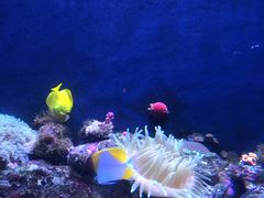 -成都浩海立方海洋公园