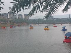 -枫香湖儿童公园