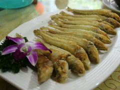-瑞记湛江鸡饭店·粤西第一鸡(粤垦店)
