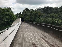 -亨德森波浪桥