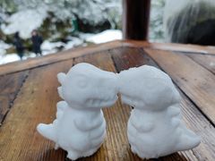 -西岭雪山大飞水景区