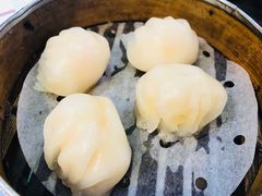 虾饺-点点心点心专门店(湾仔店)