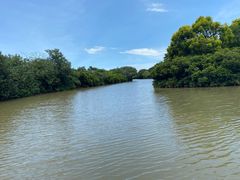 -大湾区中央湿地公园