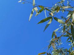 -蜀冈西峰生态公园