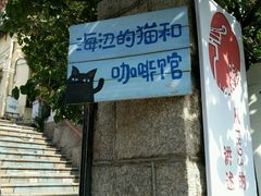 -海边的猫和咖啡馆