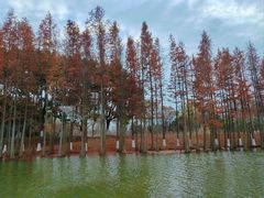-东山风景区(洞庭东山)