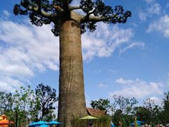 -苏州乐园森林水世界