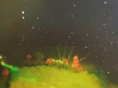-《神游传奇》秀