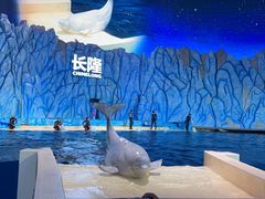 -珠海长隆海洋王国