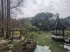 -上海醉白池公园