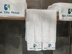-成都蓝城悦杏温泉美食酒店(宽窄巷子店)