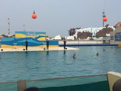 -秦皇岛乐岛海洋王国