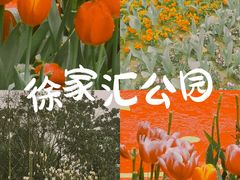 -徐家汇公园