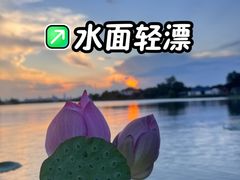 -东湖落雁景区
