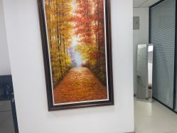 -薇兰专业脱毛连锁机构