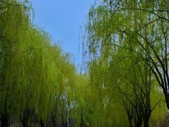 -大连外国语大学(旅顺校区)