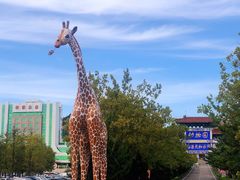 -西霞口神雕山野生动物世界