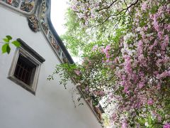 -深圳国际园林花卉博览园