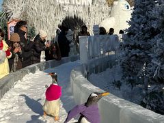 -波塞冬旅游度假区