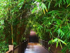 -张坝桂圆林公园