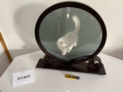 -姚建萍刺绣艺术馆
