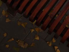 -三里屯东五街银杏大道