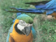 -石家庄市动物园