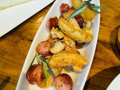 -百好乐宠物友好餐厅(朝外大街店)