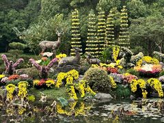 -杭州植物园