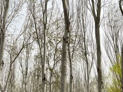 -东升八家郊野公园