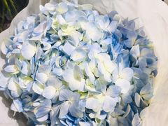 -何兮花店·气球派对鲜花店(马桥银春路万科城店)
