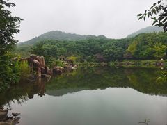 -白马涧龙池景区