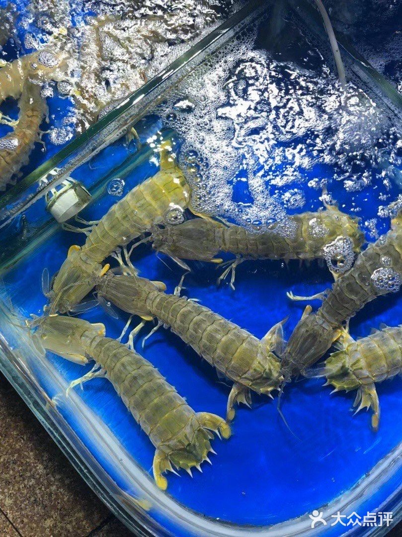 在三亚，你永远可以相信小胡子海鲜店❗