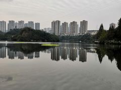 -重庆彩云湖湿地公园