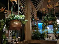 -云海肴·汽锅鸡·云南代表菜(天津国金汇店)