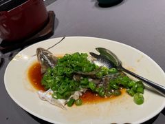 青辣汁游水桂鱼-许家菜(望江店)