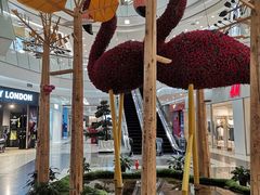 -凯德广场(学府店)