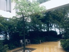 -同济大学(嘉定校区)